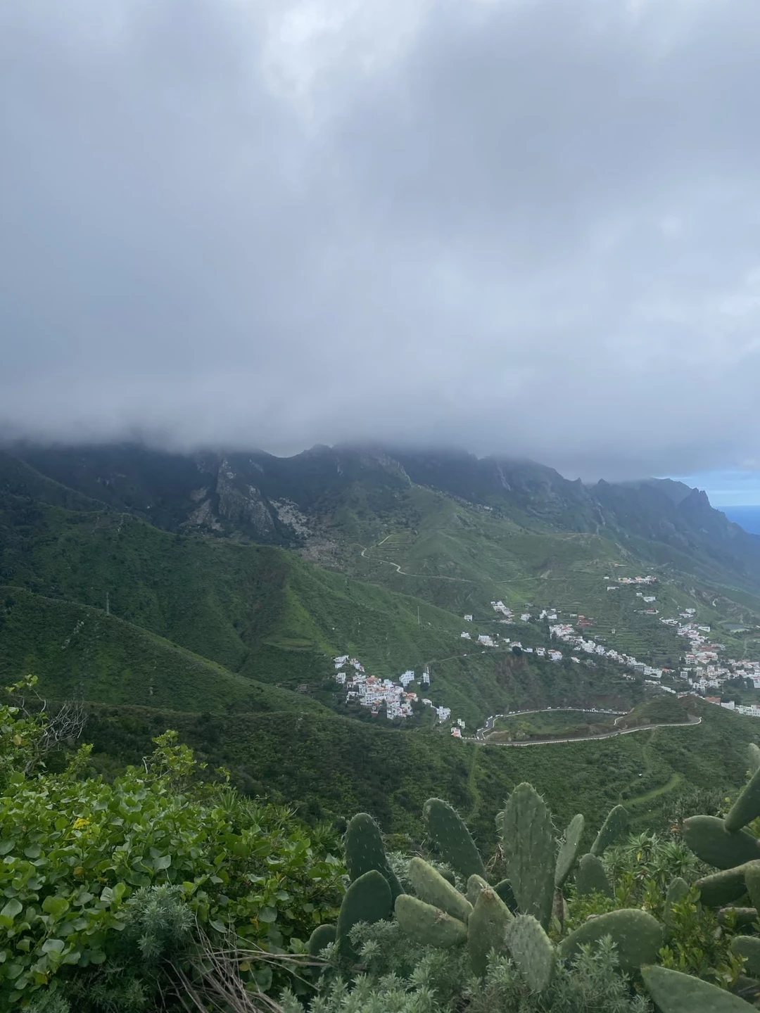 Сегодня были на экскурсии в природном парке Анага с Константином, всё прошло спокойно и организованно. Маршрут