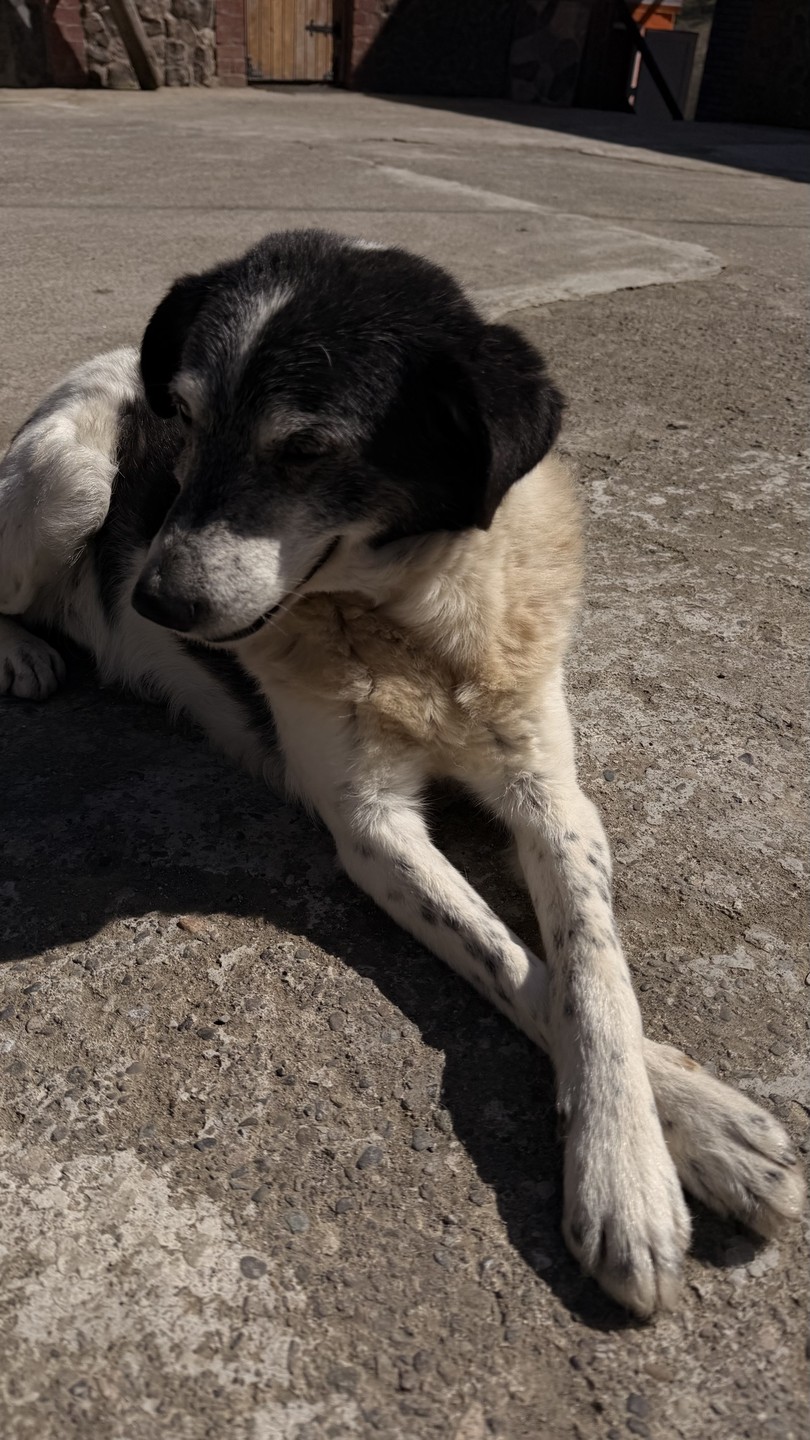 Батуми и Горная Аджария за 1 день (Polina)