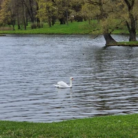 Фото отзыва 2: экскурсия "В таинственную Гатчину на автомобиле"