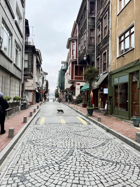 Вчера посетили очень интересную, атмосферную экскурсию по незнакомым для нас местам Стамбула! Большое спасибо Ясмин за