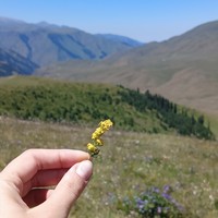 Фото отзыва 2: экскурсия "Плато Ассы, озеро Иссык и водопад: комфорт-маршрут, джипы, мини-группа"