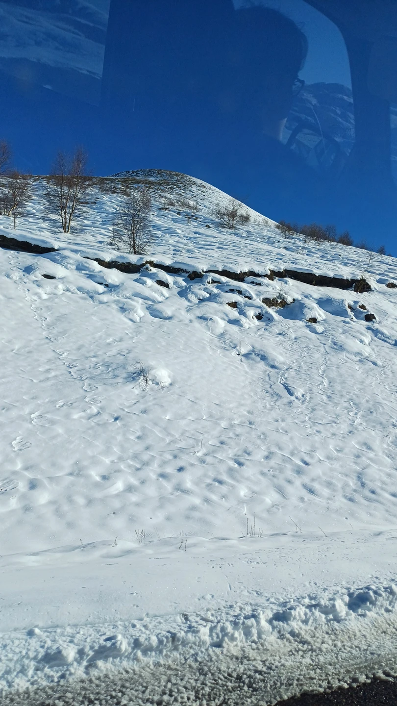 Организация на высоком уровне. В кратчайшие сроки подбрали попутчиков и скорректировали маршрут с учетом погодных условий.