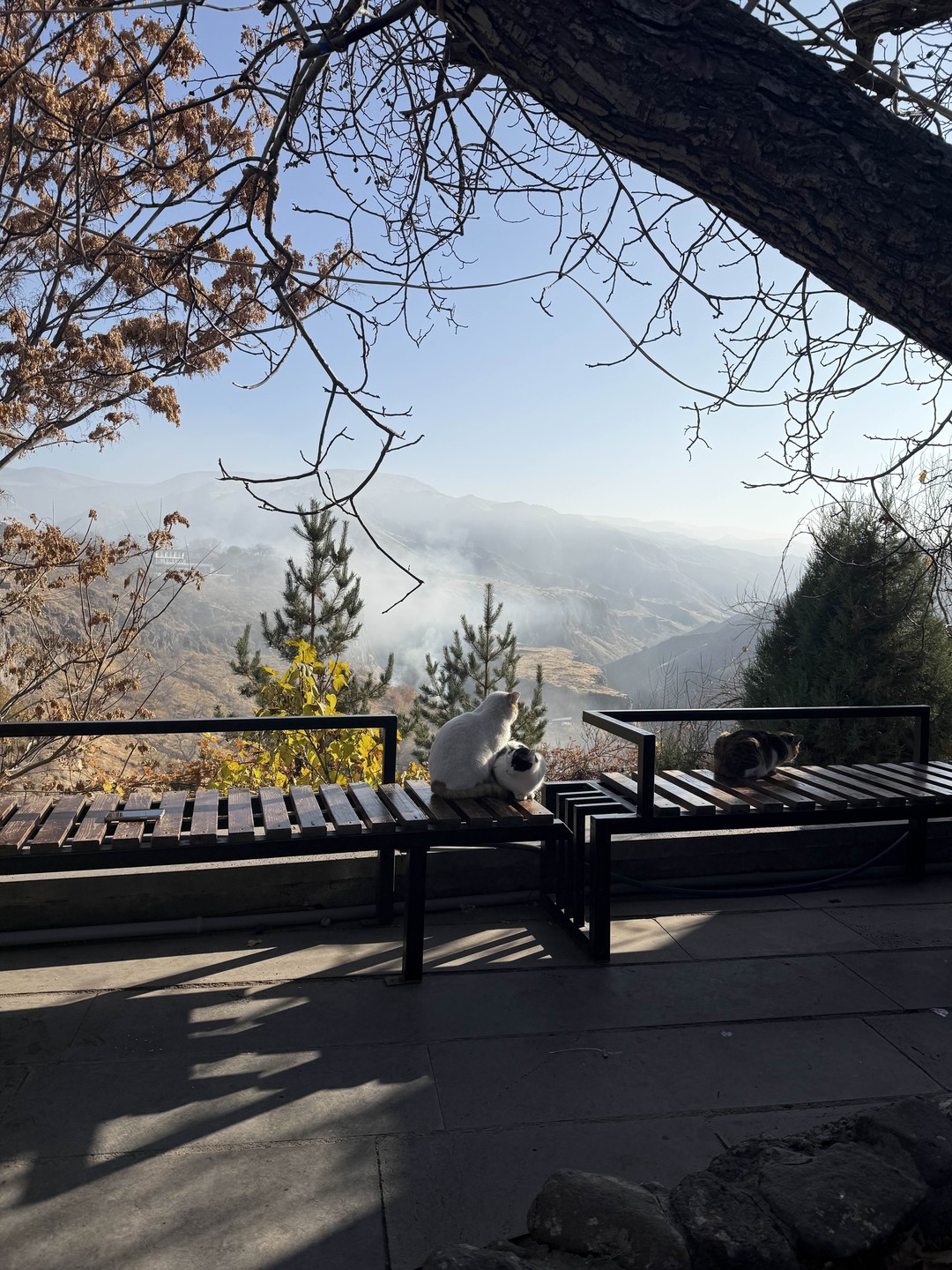 Спасибо Арарату за сказочную Армению. Арарат- очень душевный и заботливый гид. Все было легко, доступно, интересно