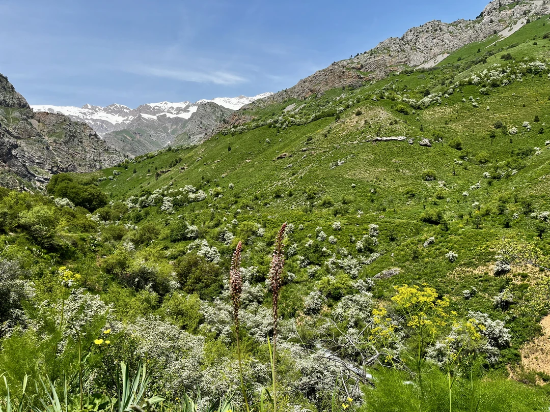 Экскурсия не идеальна, но в целом не пожалели, что съездили. Озера в солнечную погоду выглядят очень