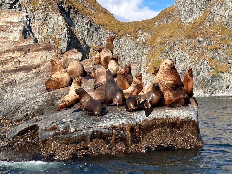 Бухта Русская - с высадкой на берег, морской рыбалкой и крабовым сафари