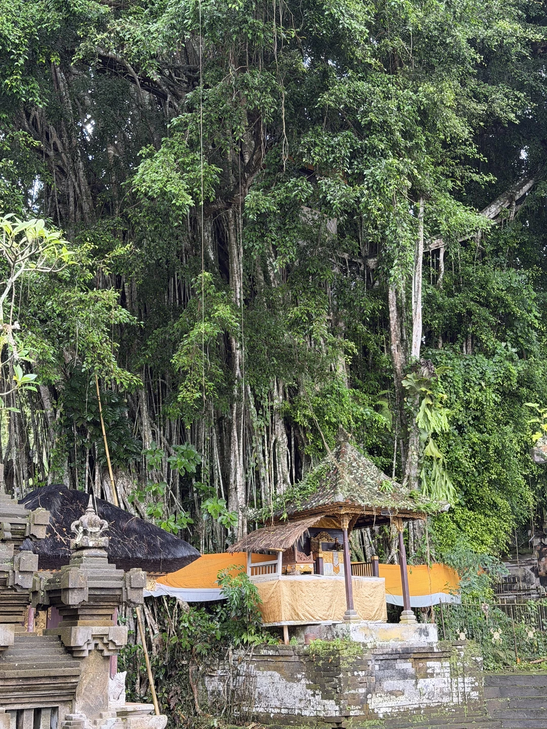 Были с мужем вдвоем. Экскурсия очень понравилось! Гид тоже. Очень интересно рассказывал про традиции Бали и
