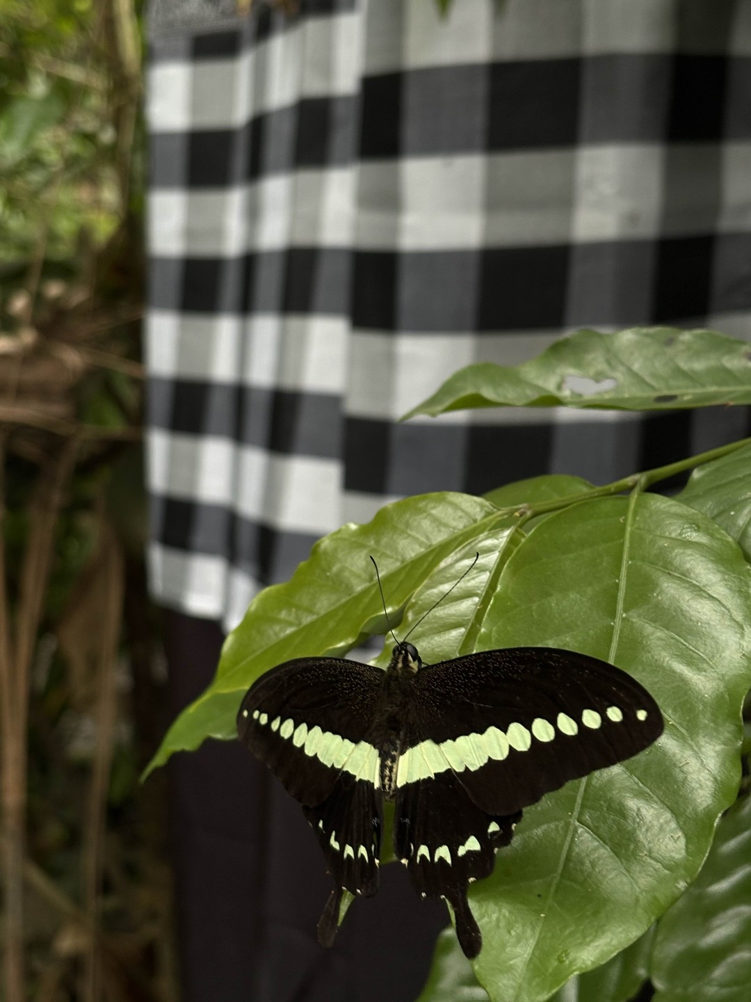 Это была великолепная экскурсия! Наш гид Sila, отлично владеет русским, внимательный и чуткий человек! Мы посетили