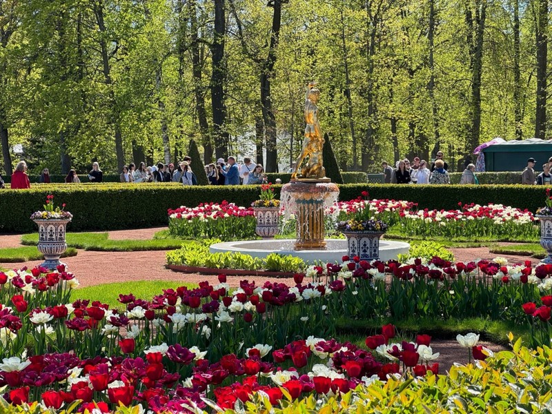 Фото к экскурсии Парк и фонтаны Петергофа (всё включено)
