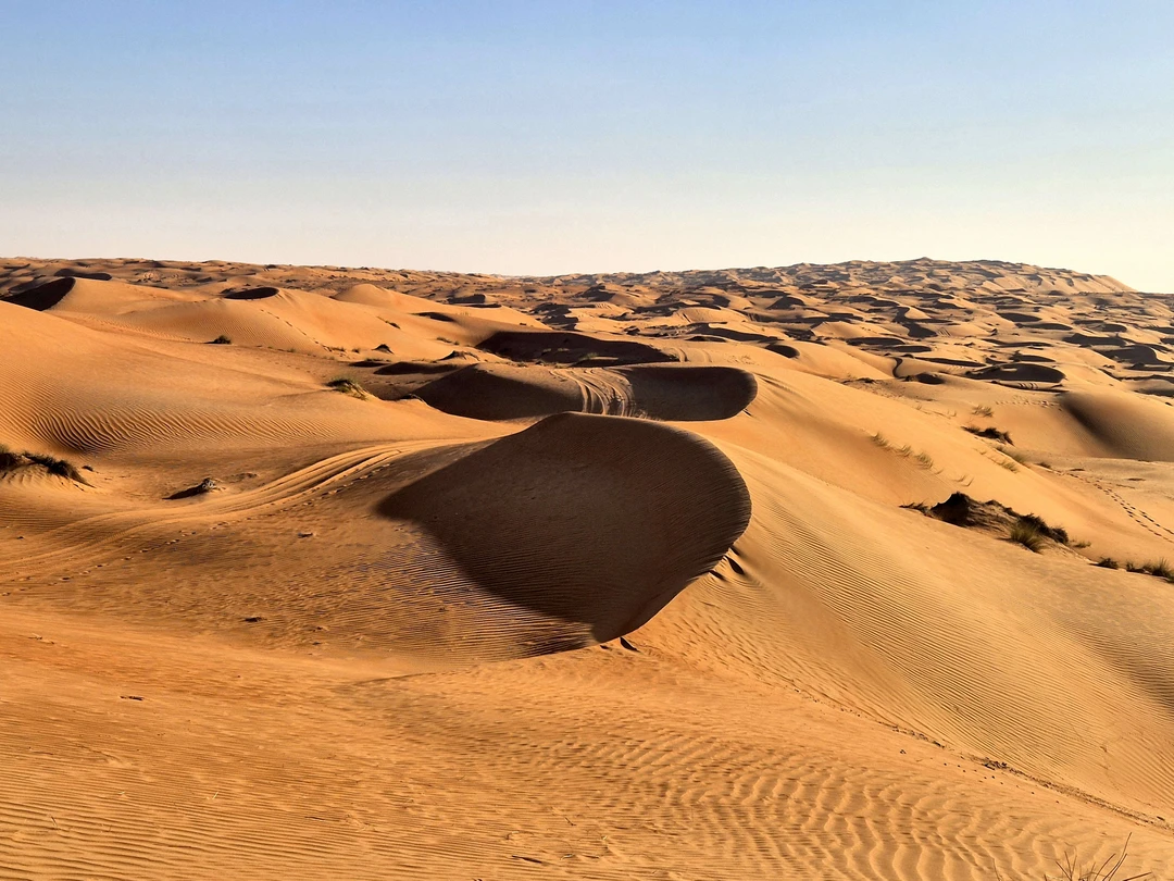 Нашу экскурсию проводил гид Павел. Всё прошло замечательно. Пустыня-самое интересное и красивое место, обязательно стоит взять
