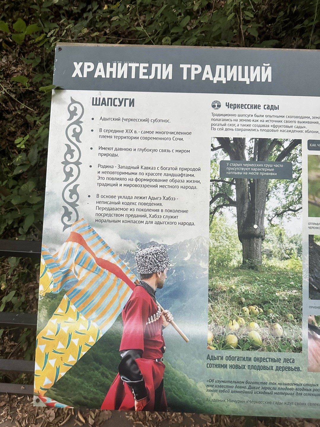 Предка очень понравилась поездка и организационно и наполнением интересных локаций. Первое это посещение дегустаций: вино, сыры