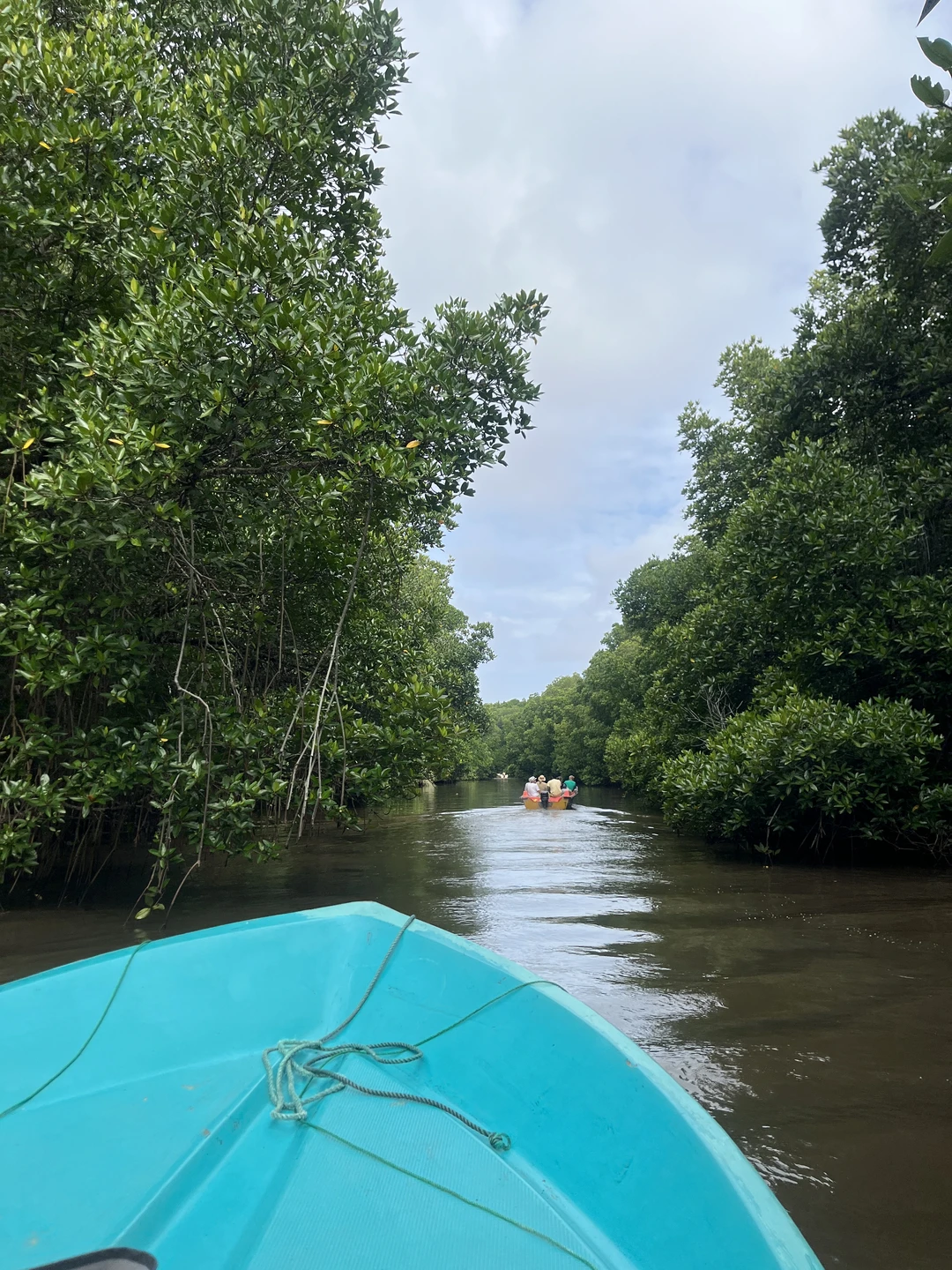 Это была чудесная и легкая поездка -наше первое знакомство со Шри-Ланкой! В части оформления и деталей
