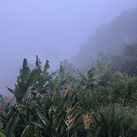 reviews img