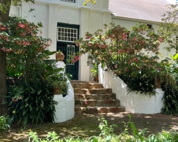 Виноделие ЮАР