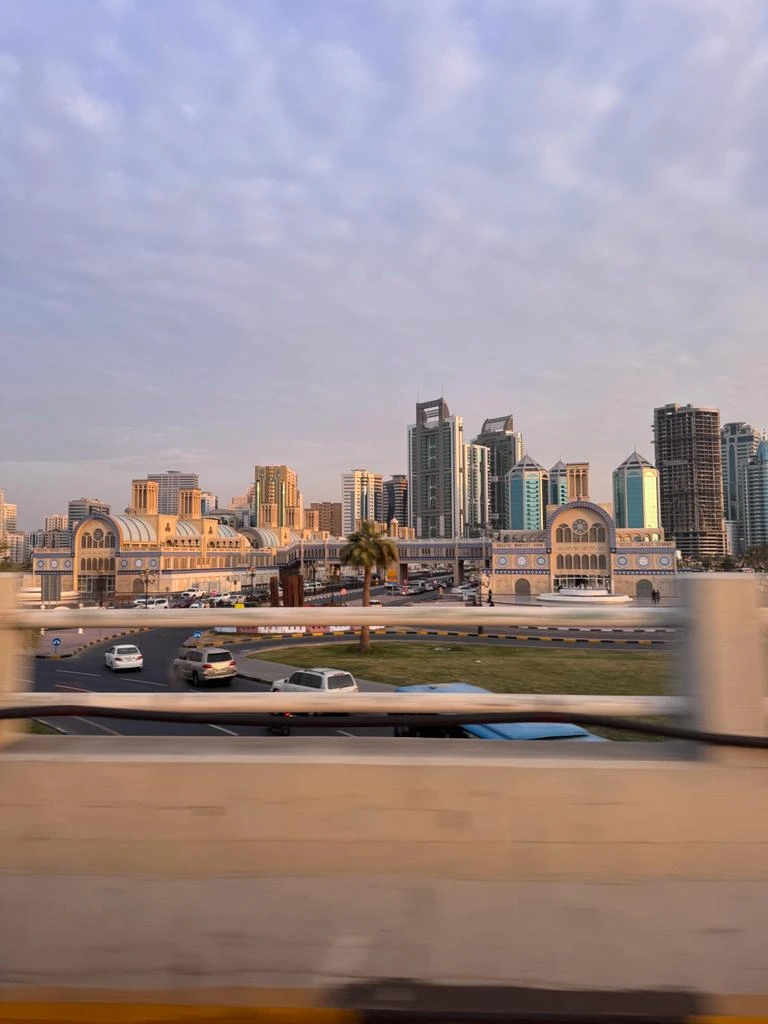 ОАЭ вдоль и поперек (Арина)