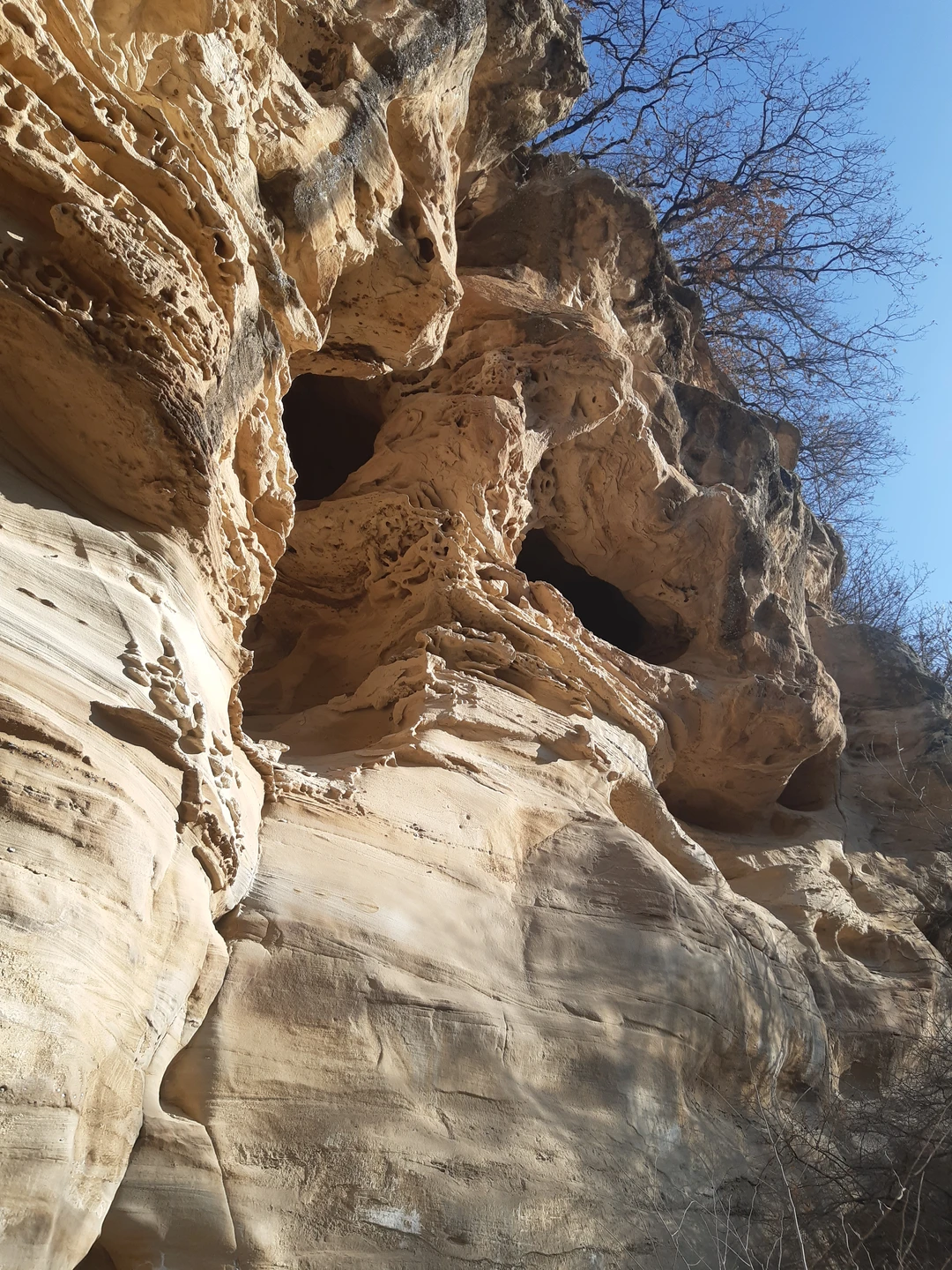 Экскурсию для нас провел Павел. Хороший рассказчик и водитель. Комфортный автомобиль. Сидели на заднем сиденье, все