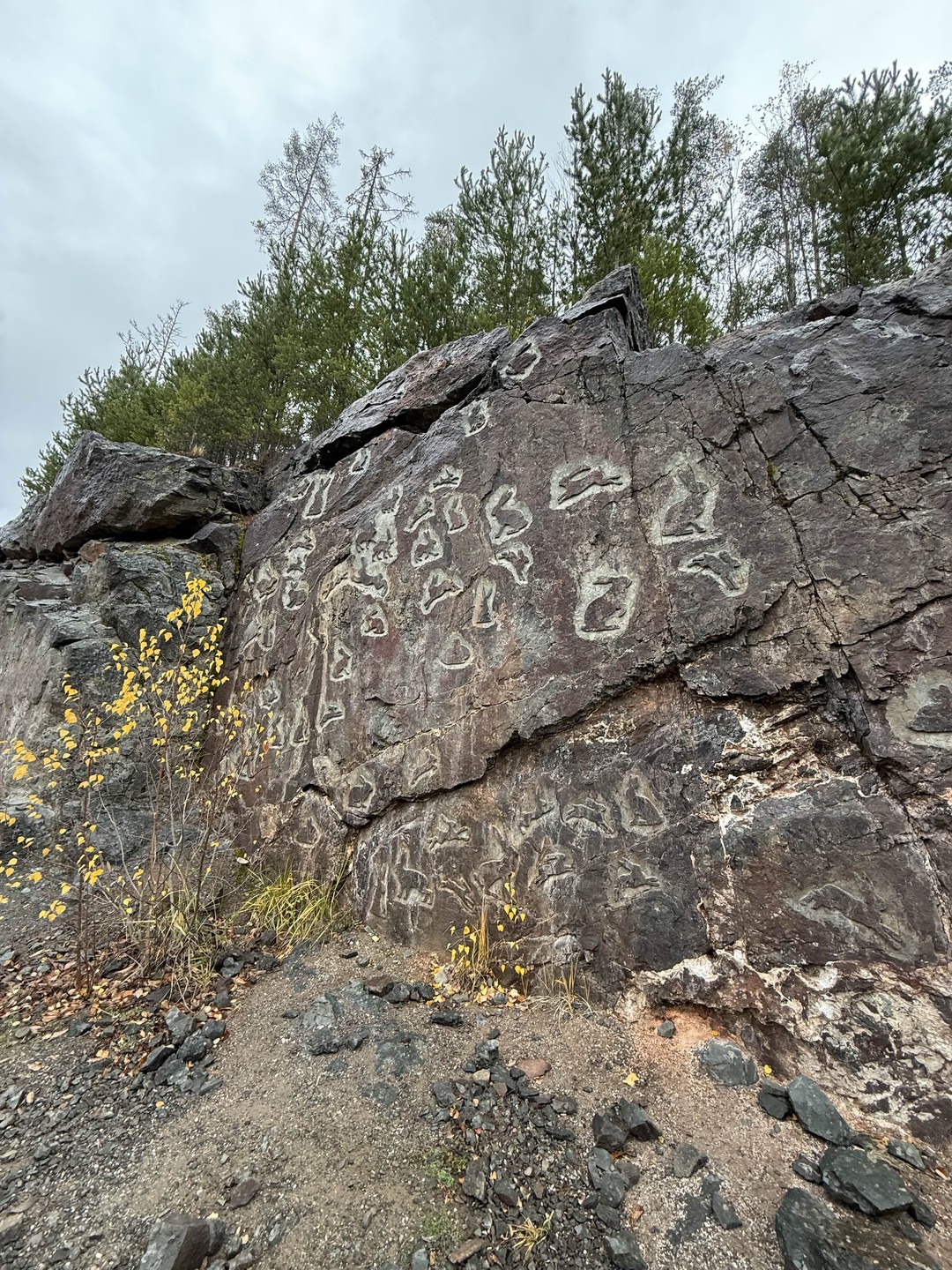 Нам с дочкой (13 лет) очень понравилась экскурсия! Вадим очень приятный человек, отличный рассказчик (знает и