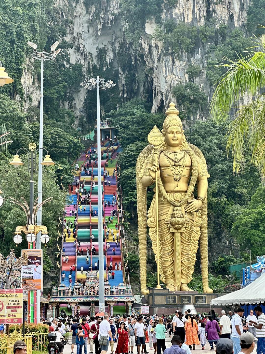 Всем советую!