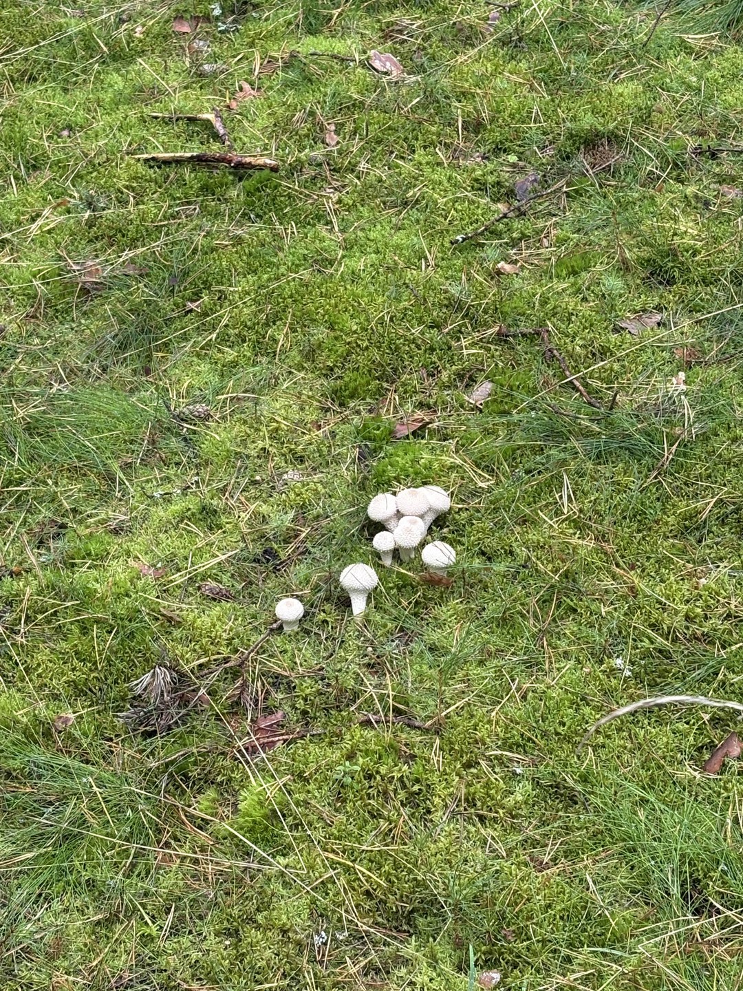 Приятный и интересный гид Кирилл. Рассказал много интересного о местах, которые посещали