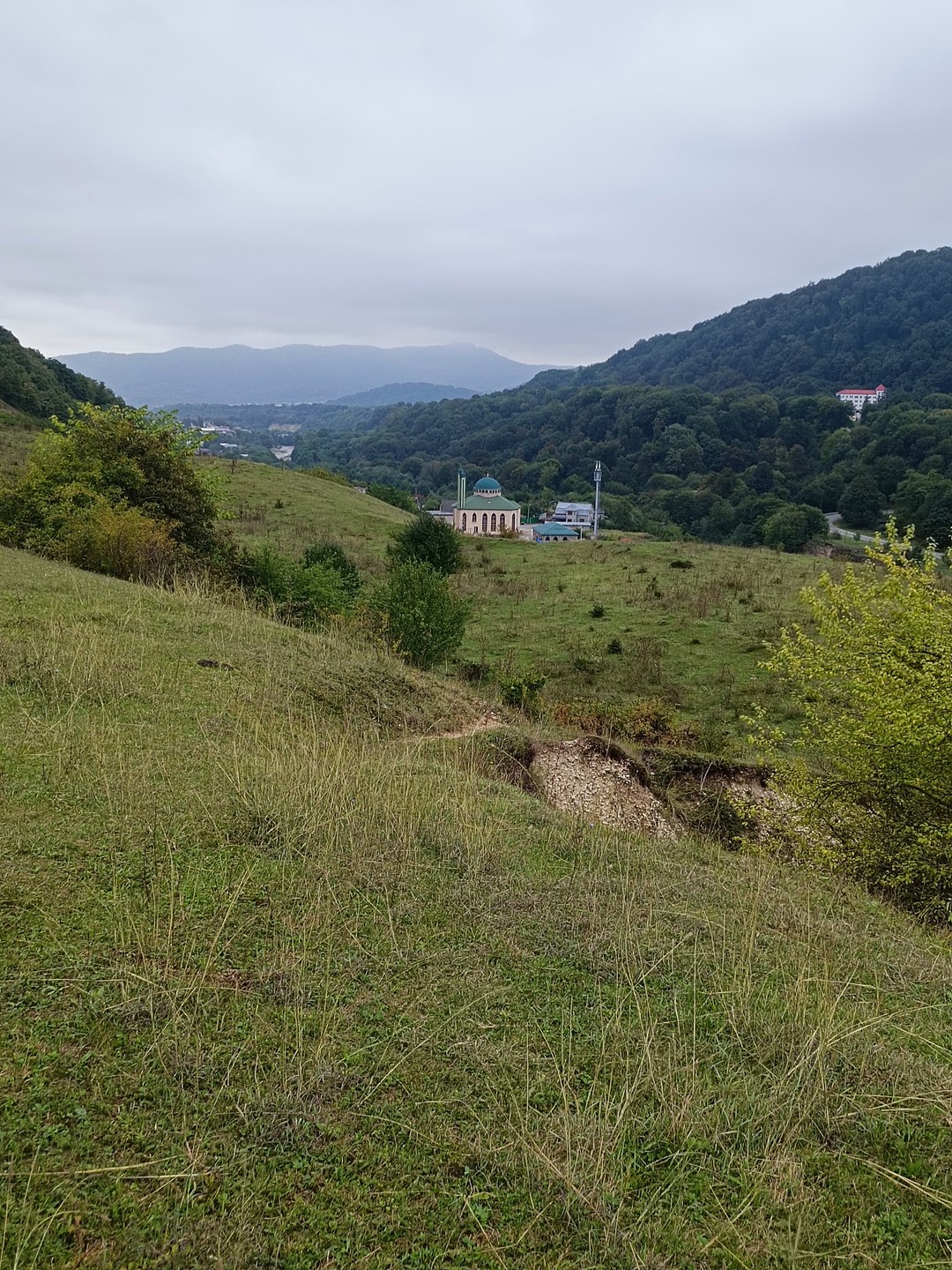 Путешествие на поляну проходило через сказочный лес и было добавлено туманной погодой, добавившей особый колорит. Одно