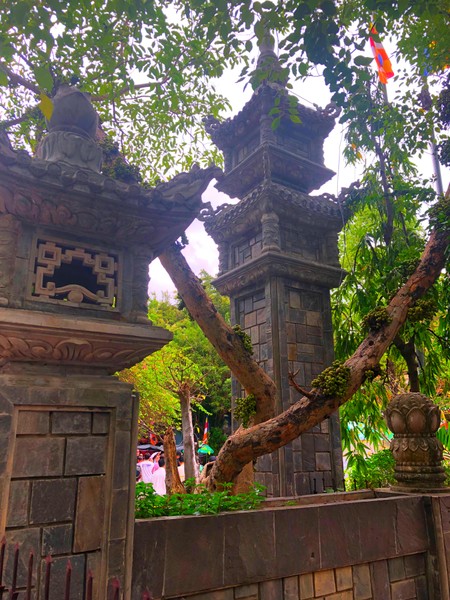 Нячанг: самое красивое и интересное (Вероника)