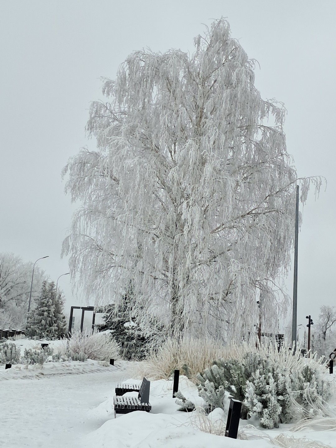 Не смотря на то, что мы путешествовали зимой, впечатление от поездки наилучшее. Зимние пейзажи великолепны. Наш