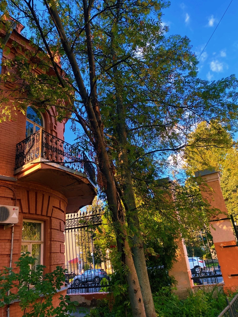 Ярославль — «город с физиономией» (7/7)