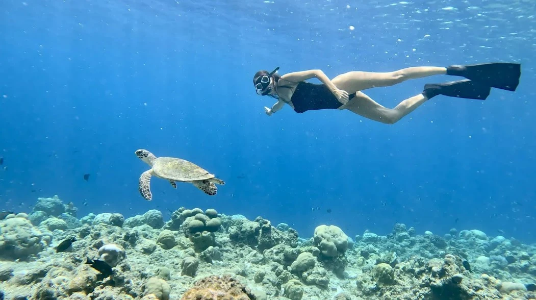 Всё включено на Мальдивах: плавание с акулами, рыбалка на закате и отдых на резорте (мини-группа)