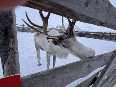 Фото отзыва 2: экскурсия ""