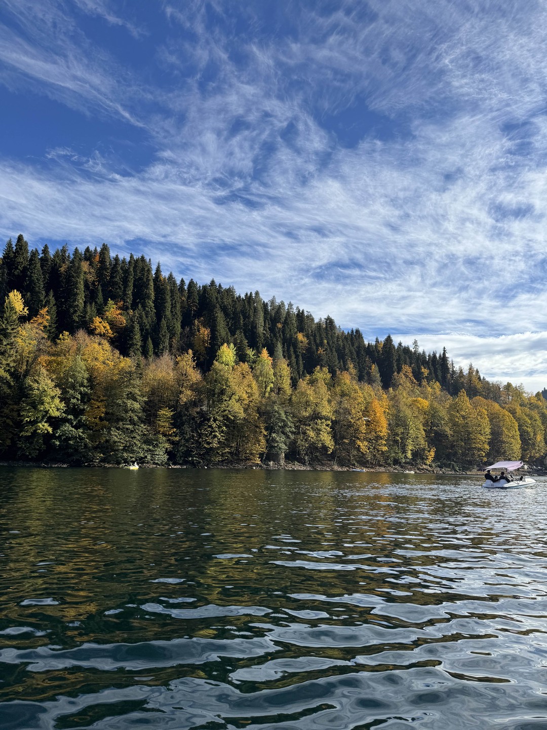 Сергей просто прекрасный человек!! Все было круто, показал нам замечательные места и рассказал историю Абхазии. Познакомил