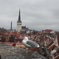 reviews img
