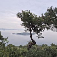 Фото отзыва 1: экскурсия "Из Стамбула на Принцевы острова: мир природы и тишины"