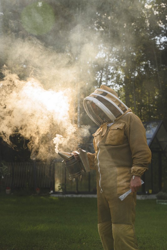 Медовое рандеву с ПчелОвеком на пасеке недалеко от Твери