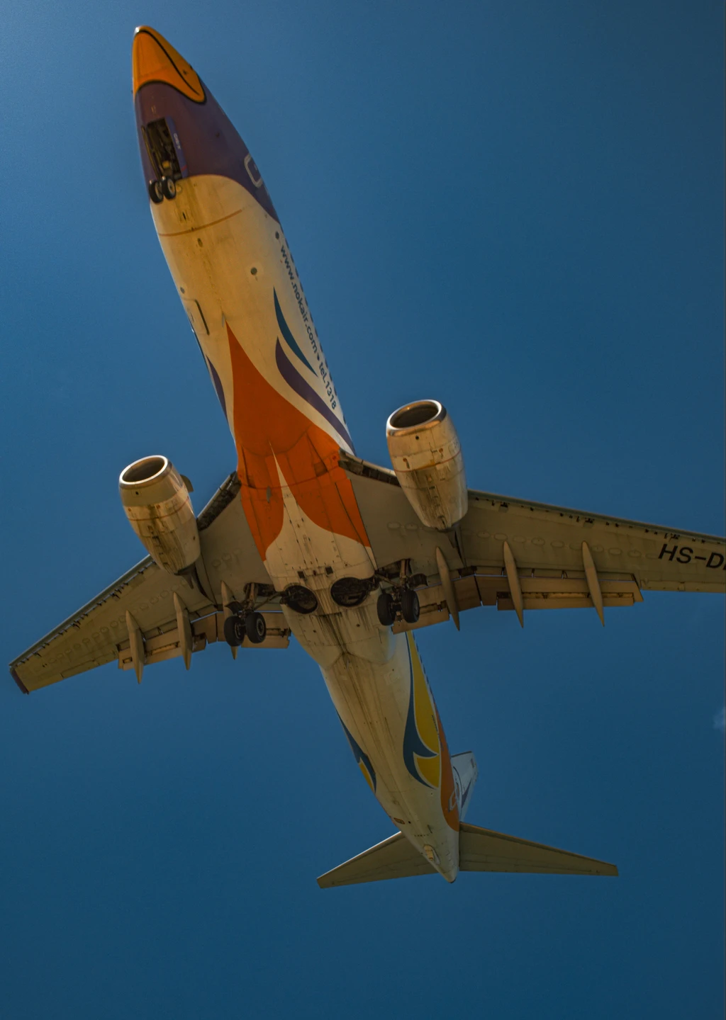 Вы хотели ярких фоточек? Вам сюда!