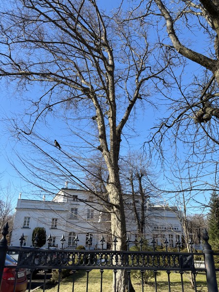 Путешествие действительно уютное. Посмотрели на побережье области под разным углом. Экскурсия интересная. Гид Игорь-профессионал. Спасибо!