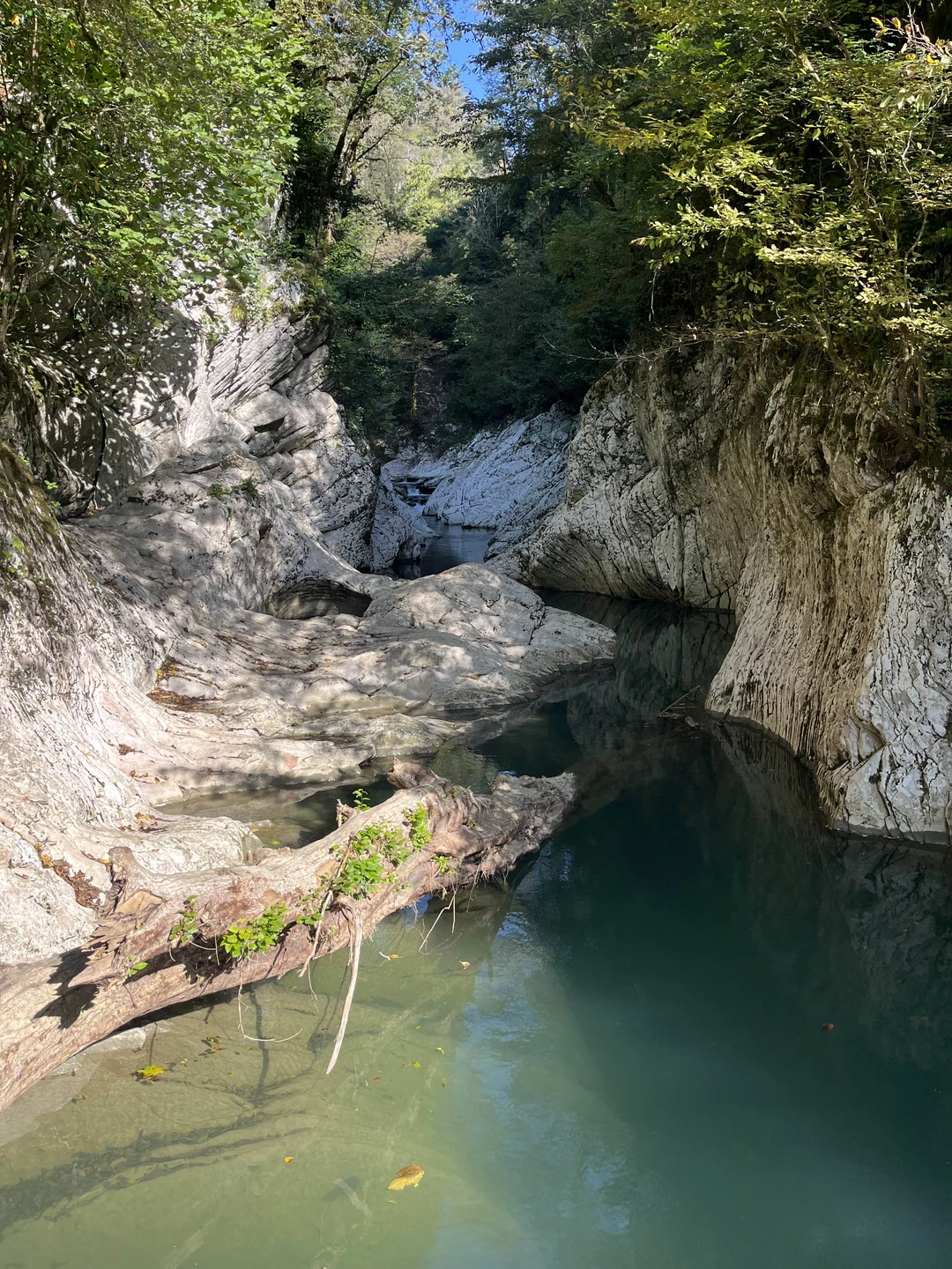 Экскурсия отличная, понравилась 👍🏼 рекомендуем!