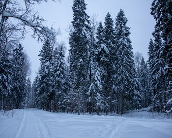 Калистово, Никитская церковь, река Сумерь и лесная поляна