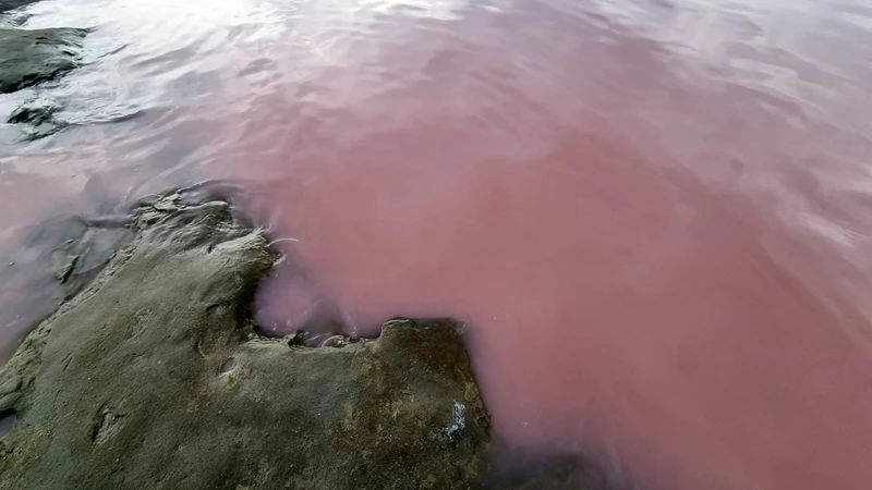 Экскурсия была очень интересная. Рашад рассказывал много интересного. Заранее были забронированы машины, там, где они были