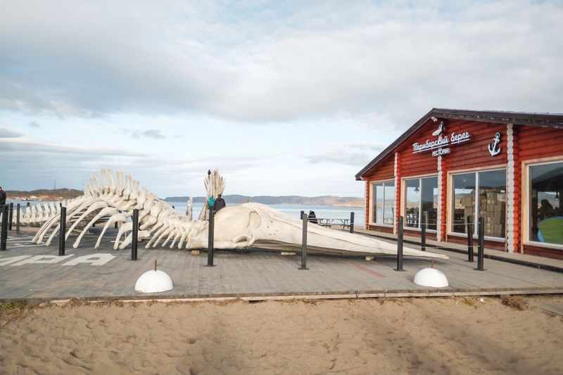 Фото отзыва 3: авторский тур "В поисках Авроры: тур-перезагрузка на Кольском"