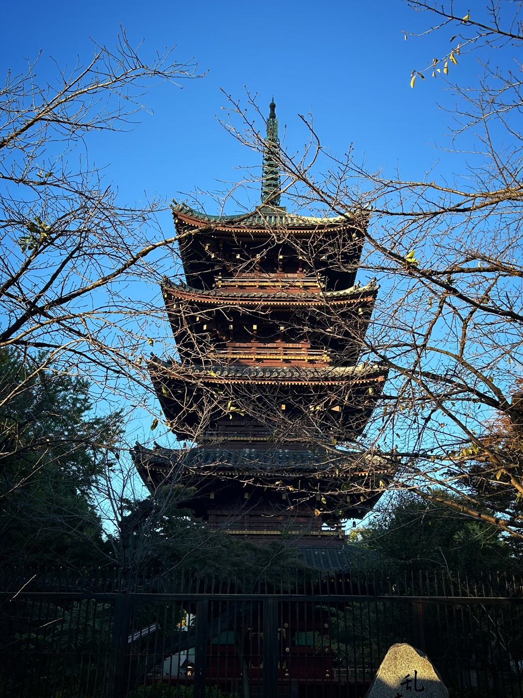 Марина не просто рассказывает по шаблону, а действительно общается, подстраивается под группу и делится интересными историями