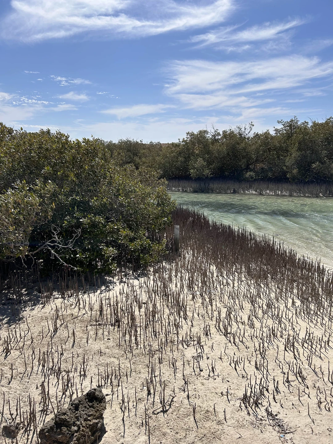 Фантастический национальный парк Рас-Мохаммед (Наталья)