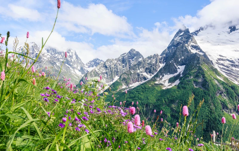 Созвездие гор: курорты КМВ, Домбай, Архыз и Эльбрус