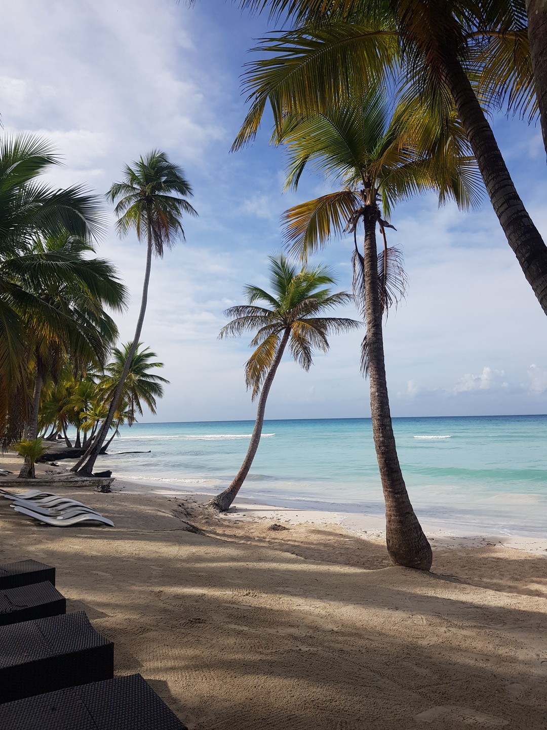 Семья 5 человек, двое детей 7 и 11 лет