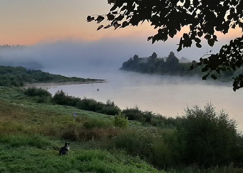 Таруса. Там, где живёшь сердцем