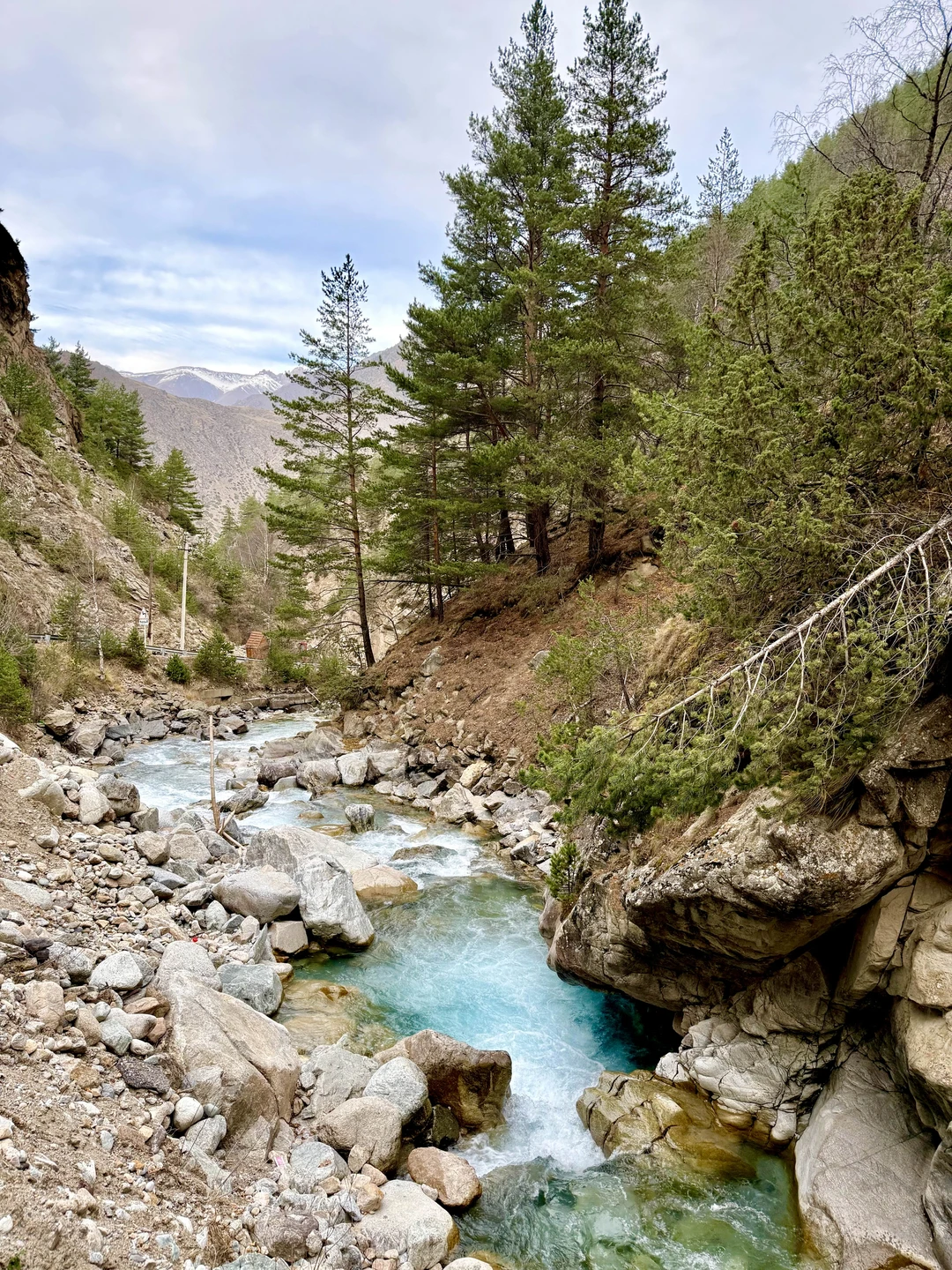 Спасибо большое гиду, Артемий спец своего дела. Все вовремя, четко и познавательно. Эльбрус великолепен, как и