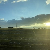 Фото отзыва 3: экскурсия "Нестандартная поездка в Приэльбрусье из Ессентуков. Горы в сердце, а сердце — в горах!"