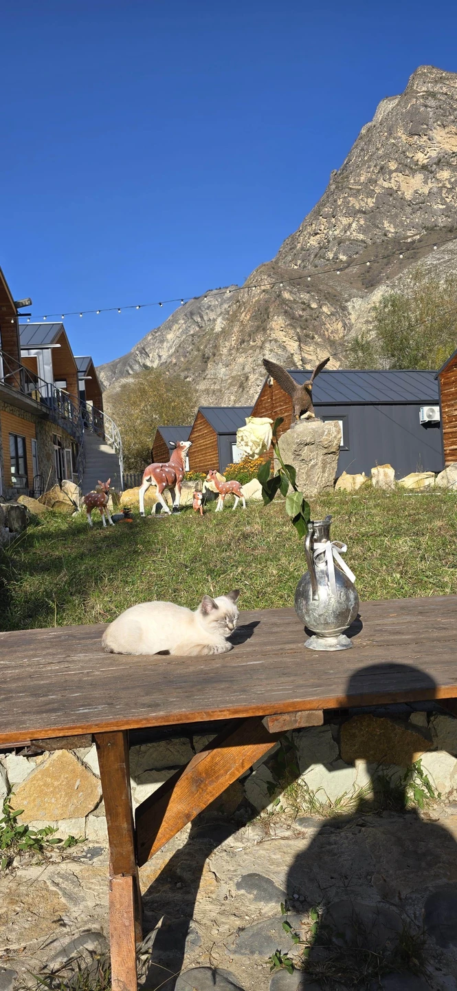 Большое спасибо организаторам за прекрасный тур! Ни минуточки не дали нам скучать,все время было интересно и