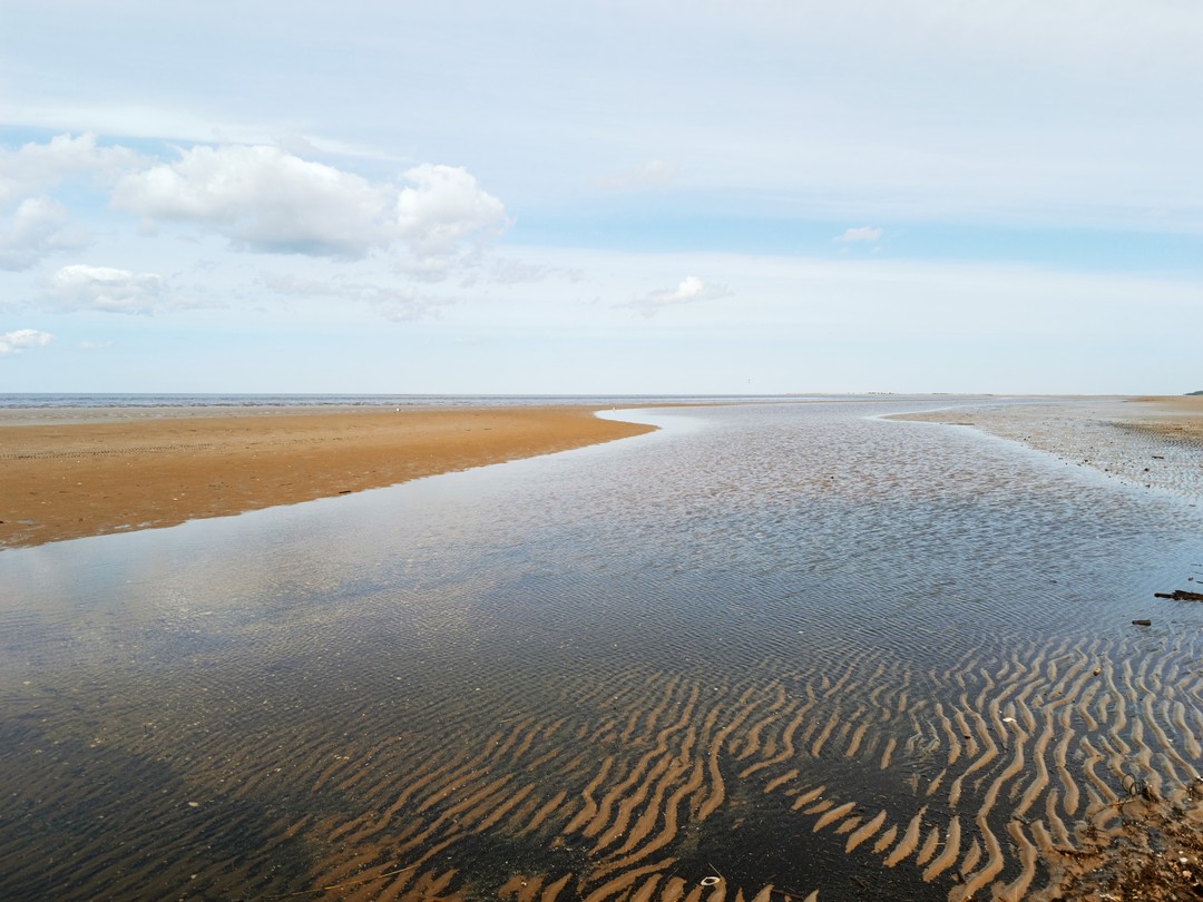 К Белому морю на остров Ягры (Ольга)