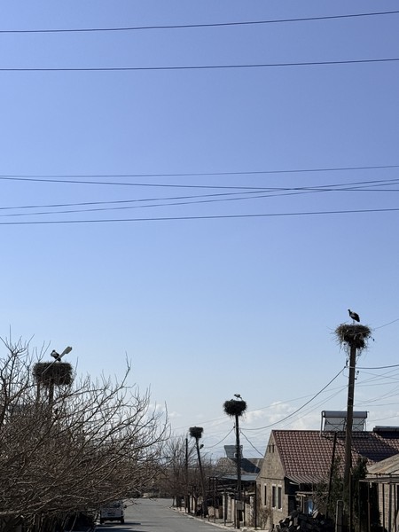 Рекомендую, все было замечательно, машина удобная, чистая. Комфортно добрались во все запланированные места, очень интересно была