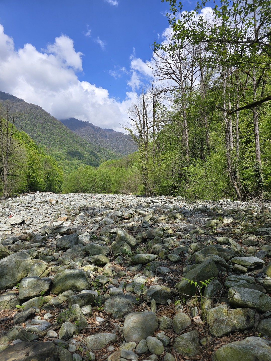 Экскурсия невероятная! Это именно то, что мы хотели! Дикая природа, не тронутая человеком. Наш гид Леван