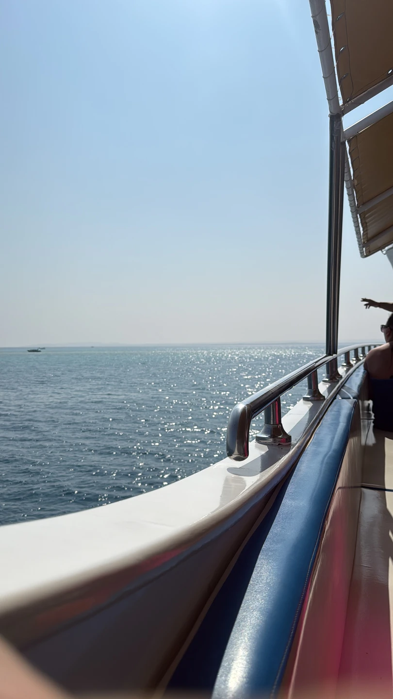 Отлично отдохнули с этим организатором